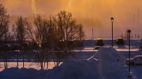 Solstice collage 5-3