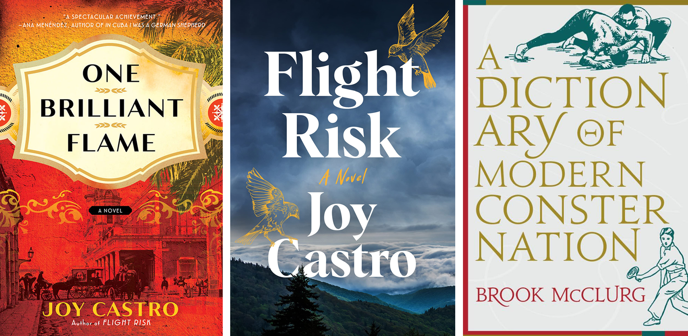 Three books by the presenting authors: One Brilliant Flame and Flight Risk by Joy Castro, and A Dictionary of Modern Consternation by Brook McClurg
