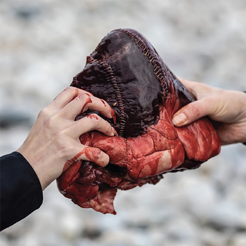 Marte Lill Somby, Skrevet i Stein / Written in Stone, 2020-current. Photograph by June Bjørnback.