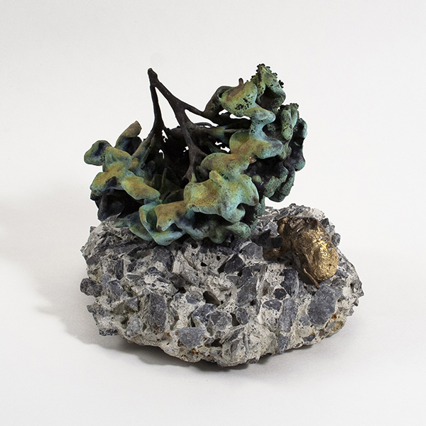 Ceramic still life by Dawn Holder