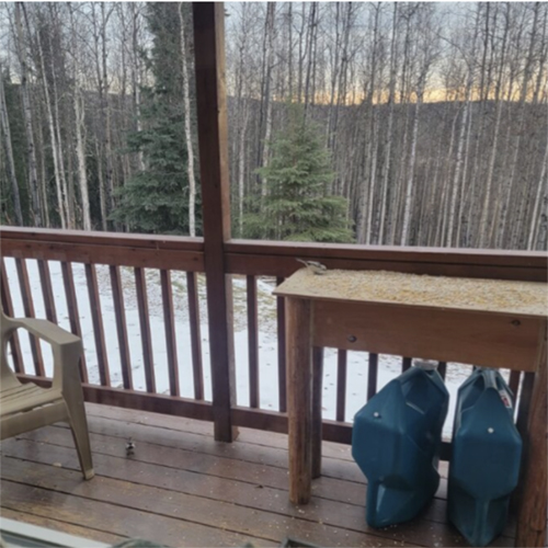 Two water jugs on a cabin porch overlooking a forested landscape in Fairbanks, AK. Photo courtesy of Arciniega.