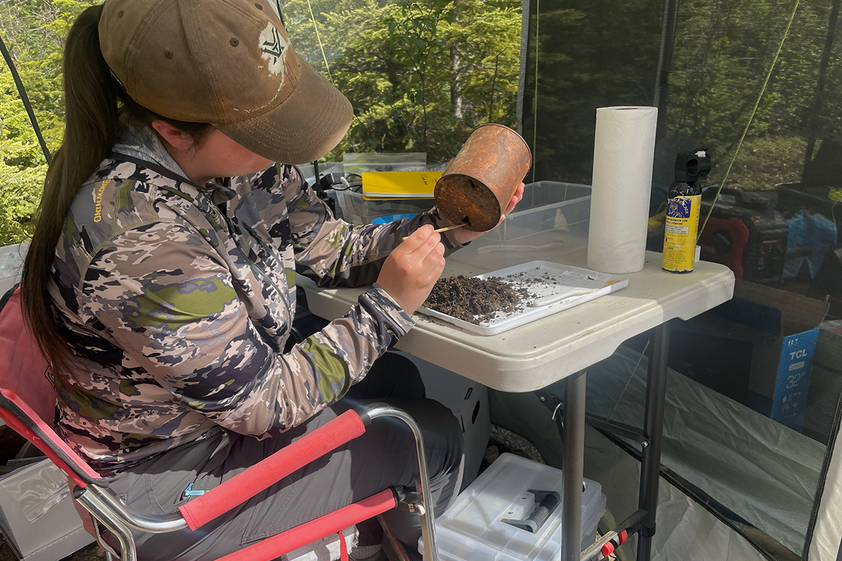 Emily Owens, University of Alaska Fairbanks archeological field school student, scrapes the dirt out of a rusty WWII can while sitting in the archeological camp lab Monday, June 8th, 2026. UAF Photo by Masek Kroening.