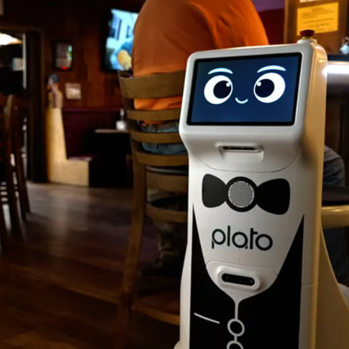 Plato waits 20 seconds after delivering an appetizer to a table in the bar section of The Cazadero July 5, 2023. (Hannah Ray Lambert/Fox News Digital)