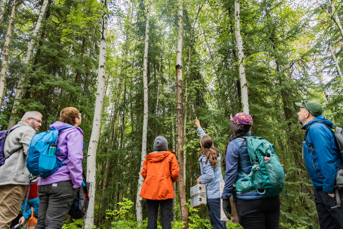 Mycologist Christen Swearingen teaches an adult Summer Sessions course on Mushroom Identification on the ski trails of West Ridge on the upper Troth Yeddha' Campus, Saturday, August 17, 2024. Participants learned how to identify, harvest and prepare wild mushrooms commonly found in Alaska over a three day period. (UAF photo by Leif Van Cise)