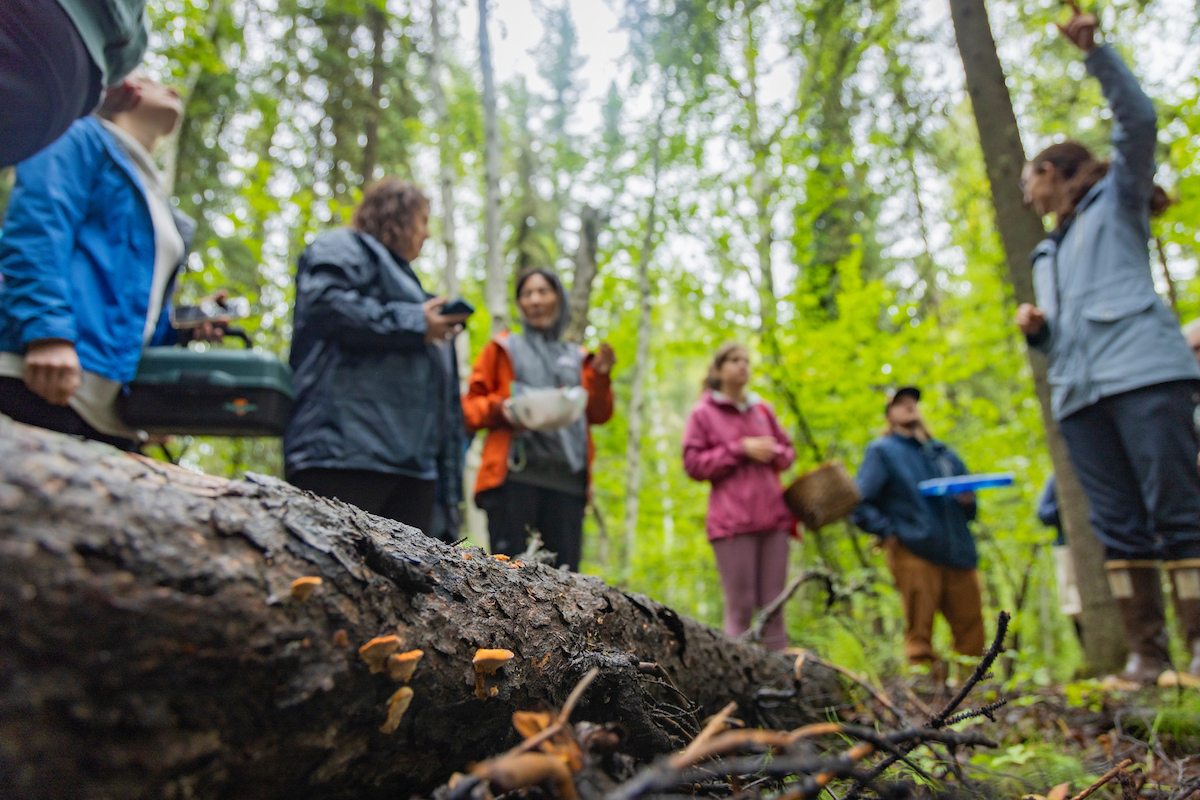 Mycologist Christen Swearingen teaches an adult Summer Sessions course on Mushroom Identification on the ski trails of West Ridge on the upper Troth Yeddha' Campus, Saturday, August 17, 2024. Participants learned how to identify, harvest and prepare wild mushrooms commonly found in Alaska over a three day period. (UAF photo by Leif Van Cise)