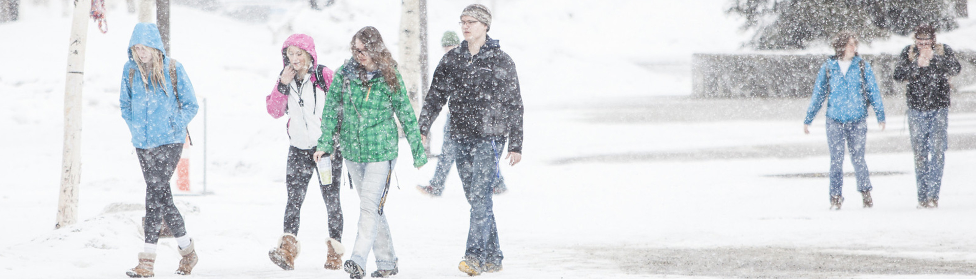 people walking in snowstorm