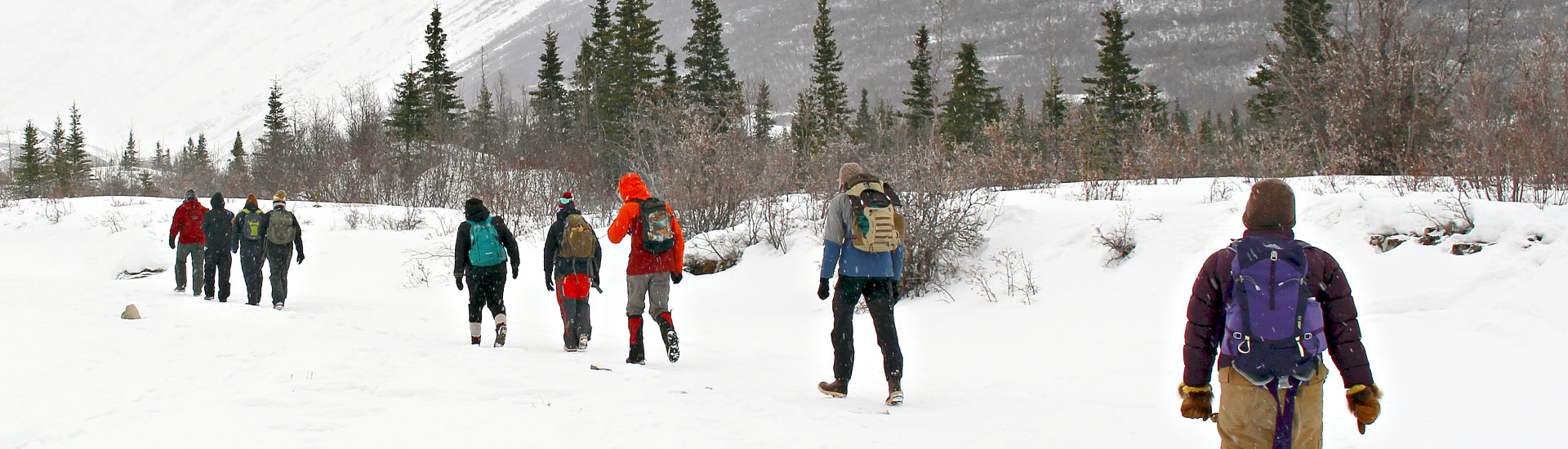 Geography students hike to the Castner Glacier Ice Cave