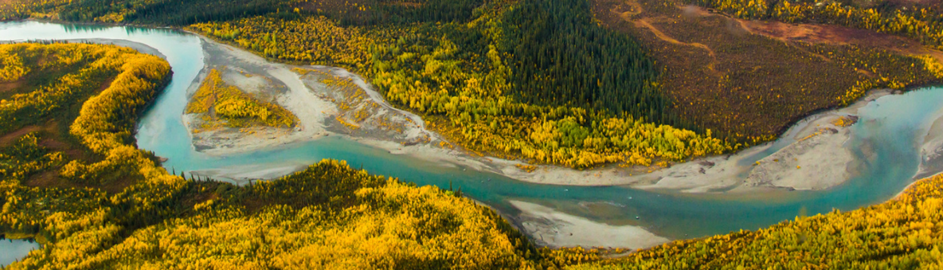 arial view of river in autumn