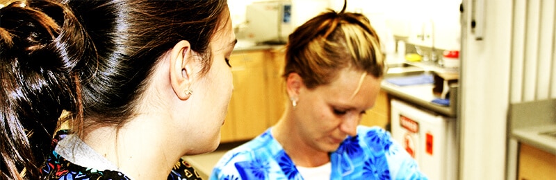 Two medical assistants looking down at something