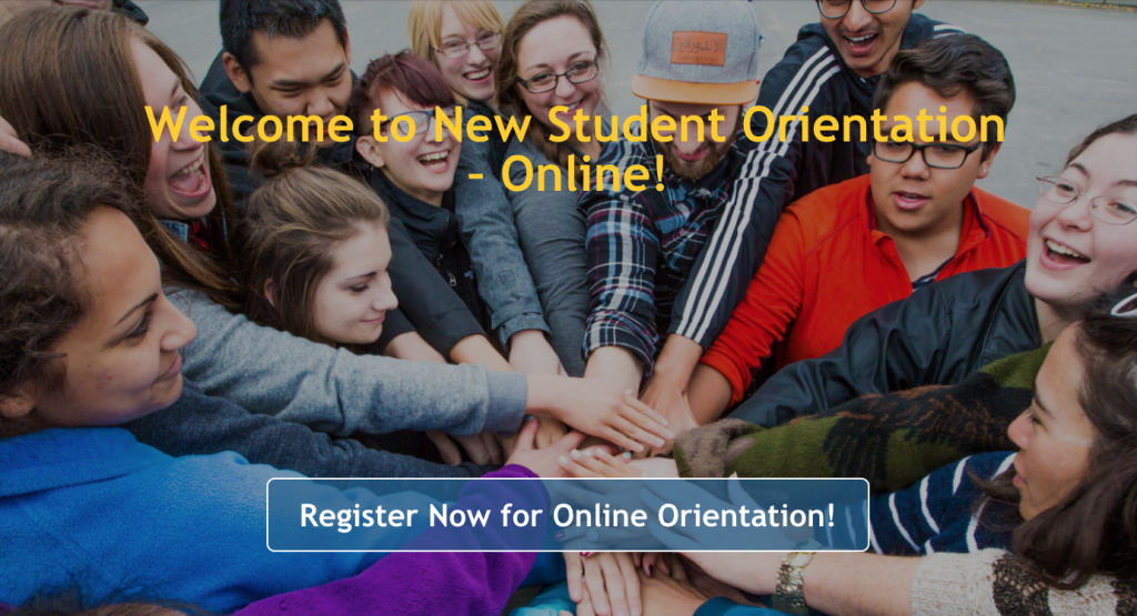 Screenshot of new Online Orientation website