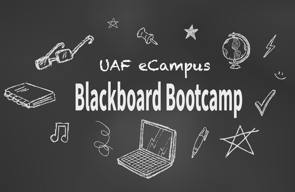 Blackboard Logo