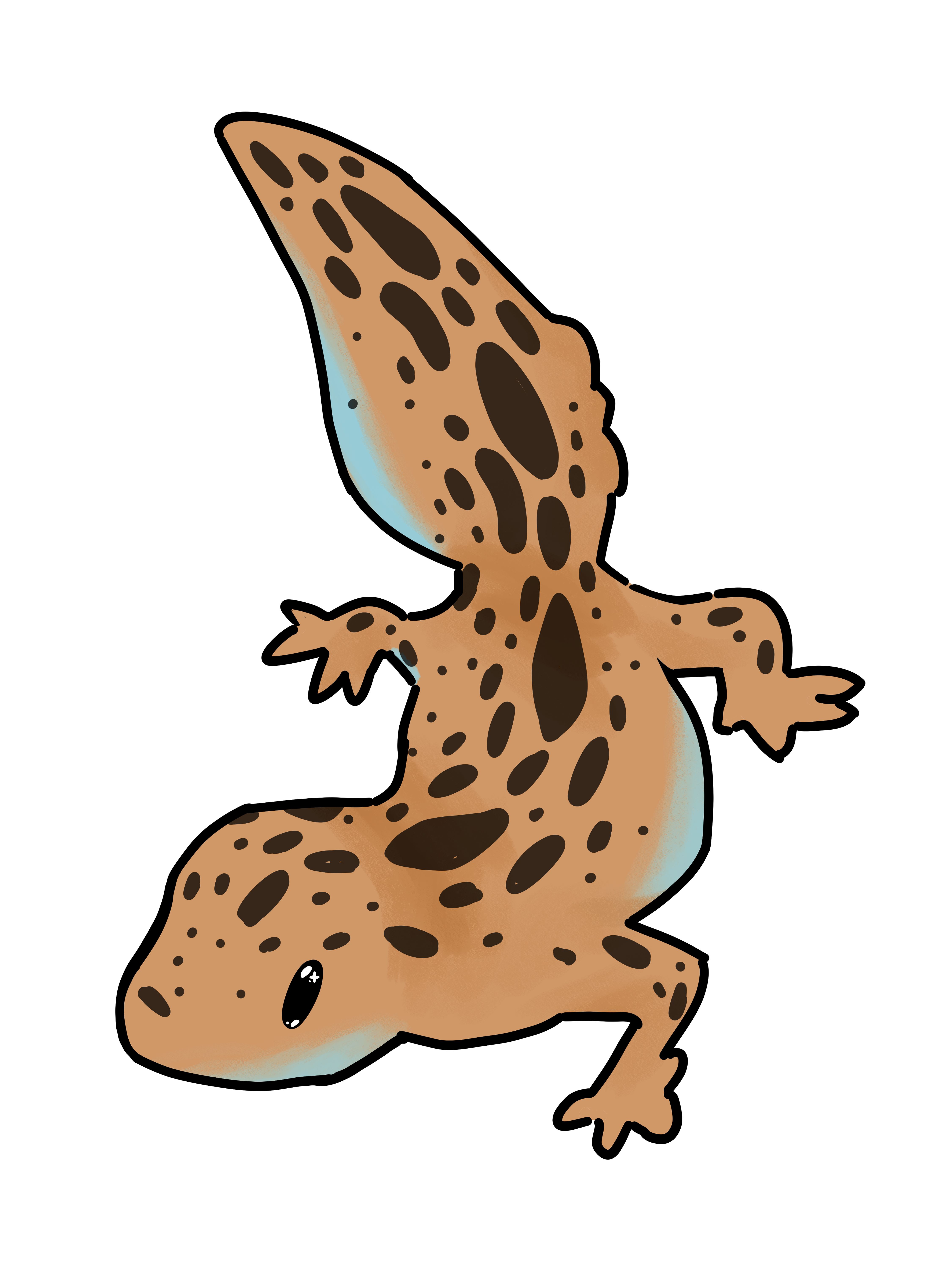Light brown spotted Geko