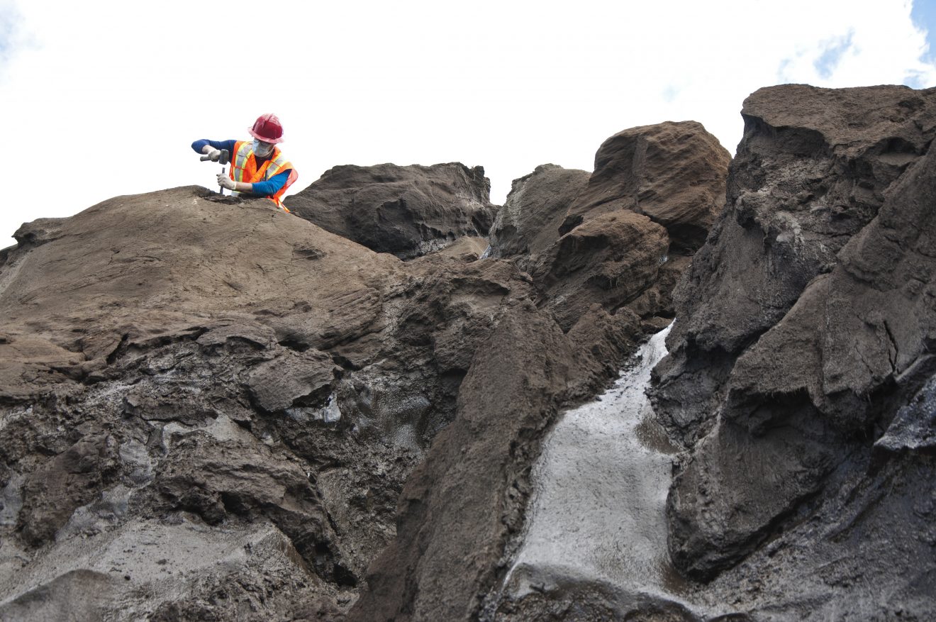 Moisture played a role in megafaunal extinctions