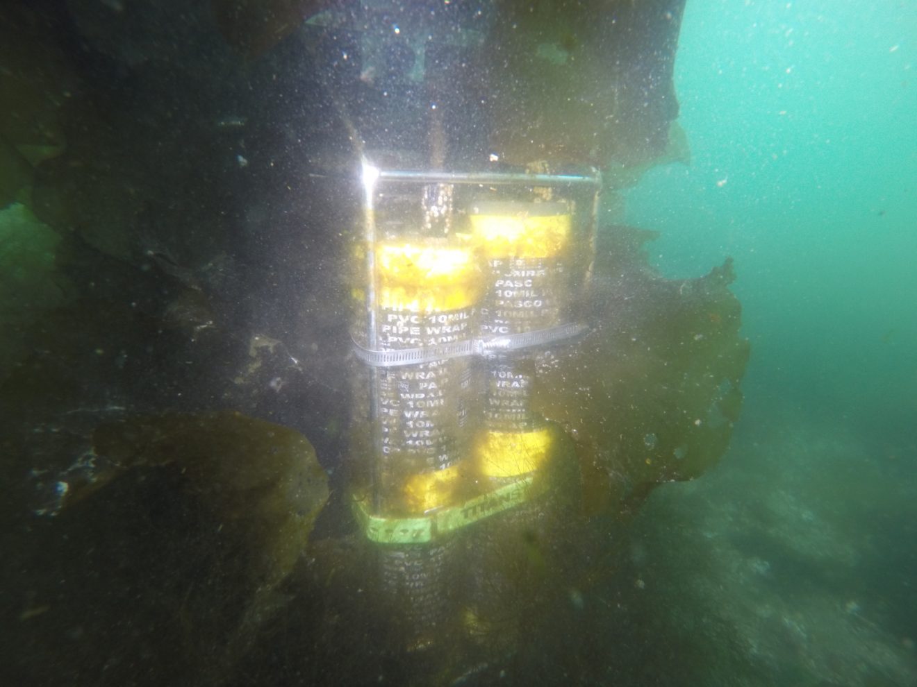 New sensors continuously monitor Kachemak Bay's acidification