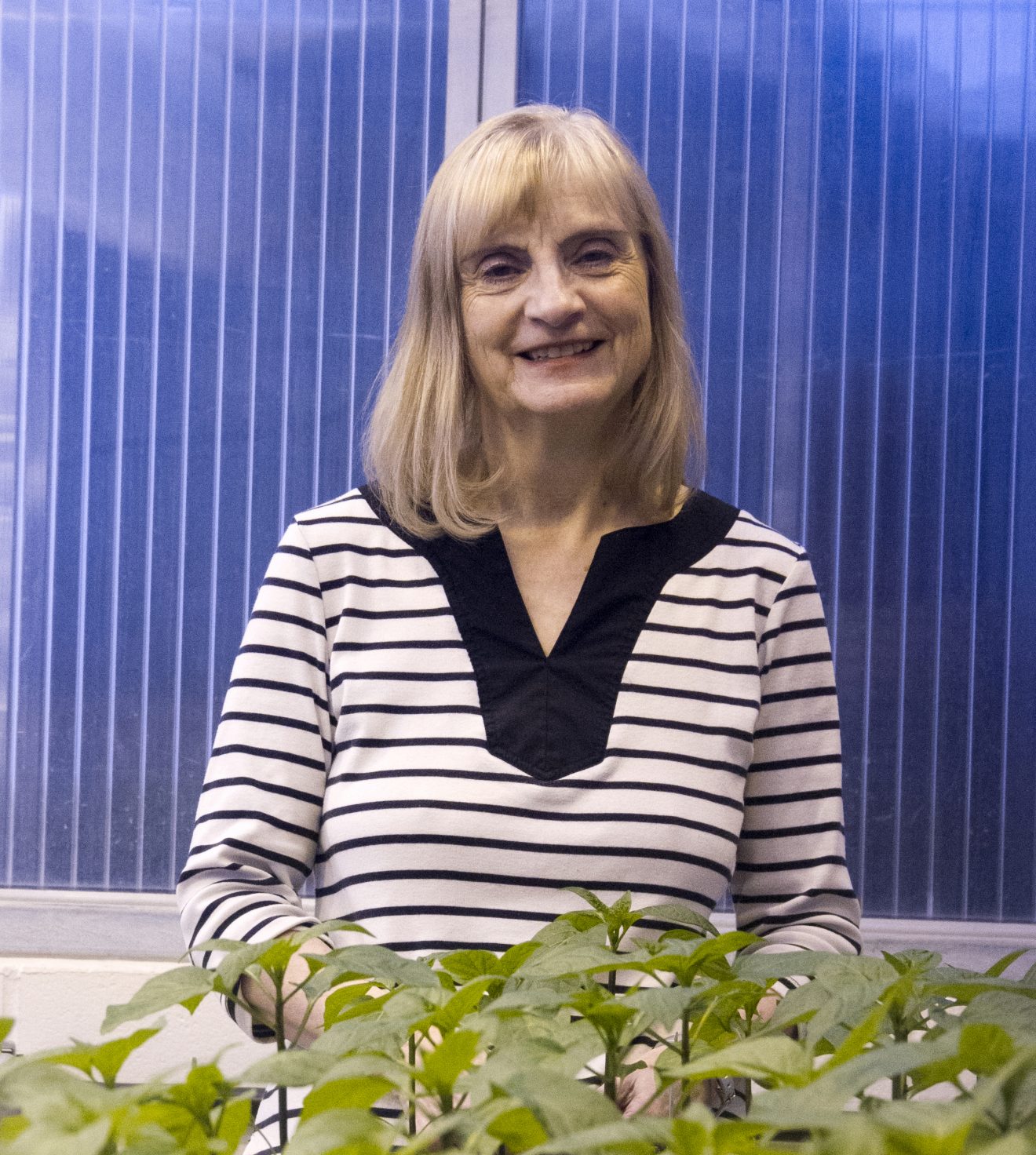 Fascination with light keeps Karlsson focused on northern horticulture