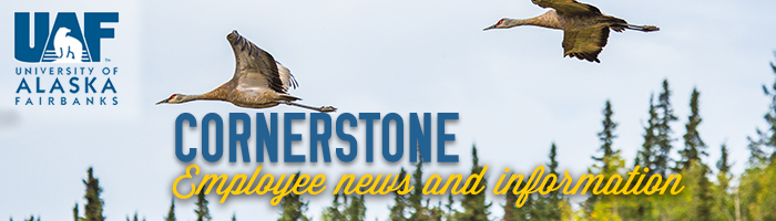 cstone-employee-flycrane