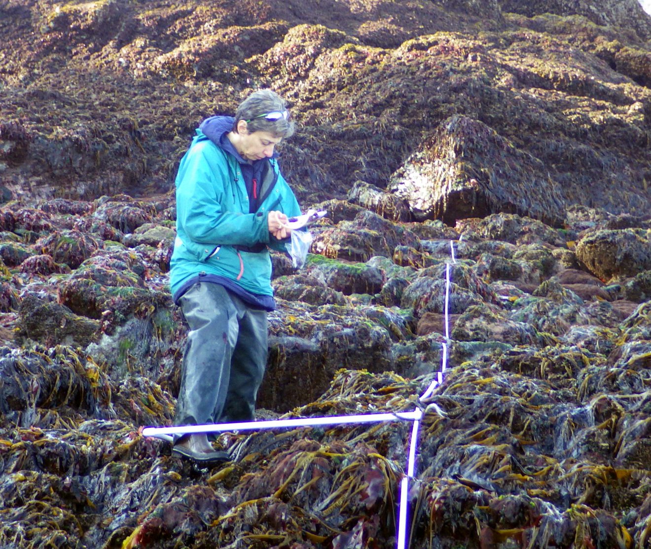 NSF awards $20 million to fund 'Fire and Ice' project