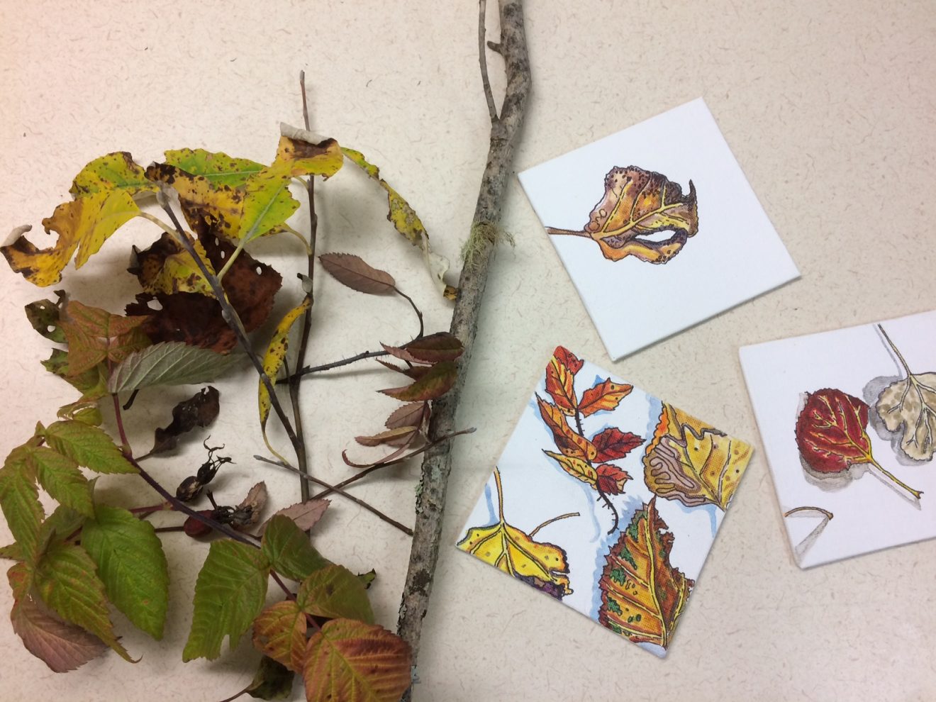 Teen Studio activities explore art and science