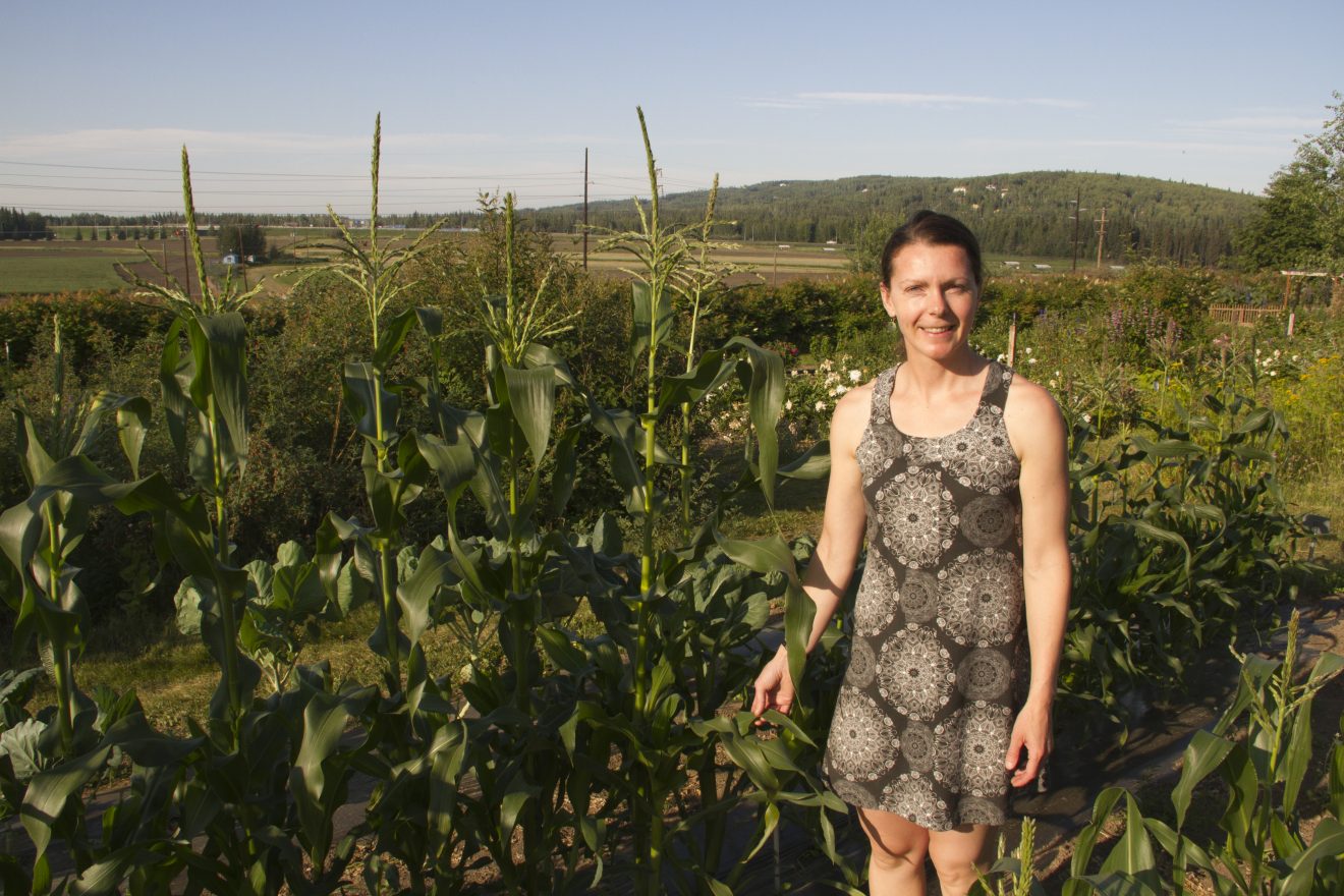 Variety trials, vegetable workshops set at Georgeson