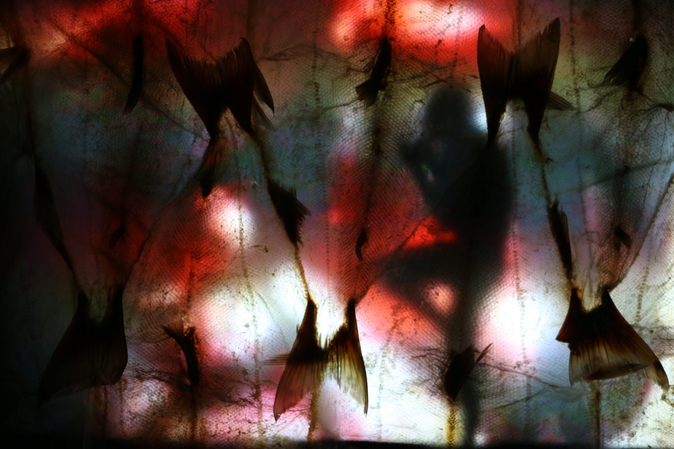 'Decolonizing Alaska' to open at UA Museum of the North