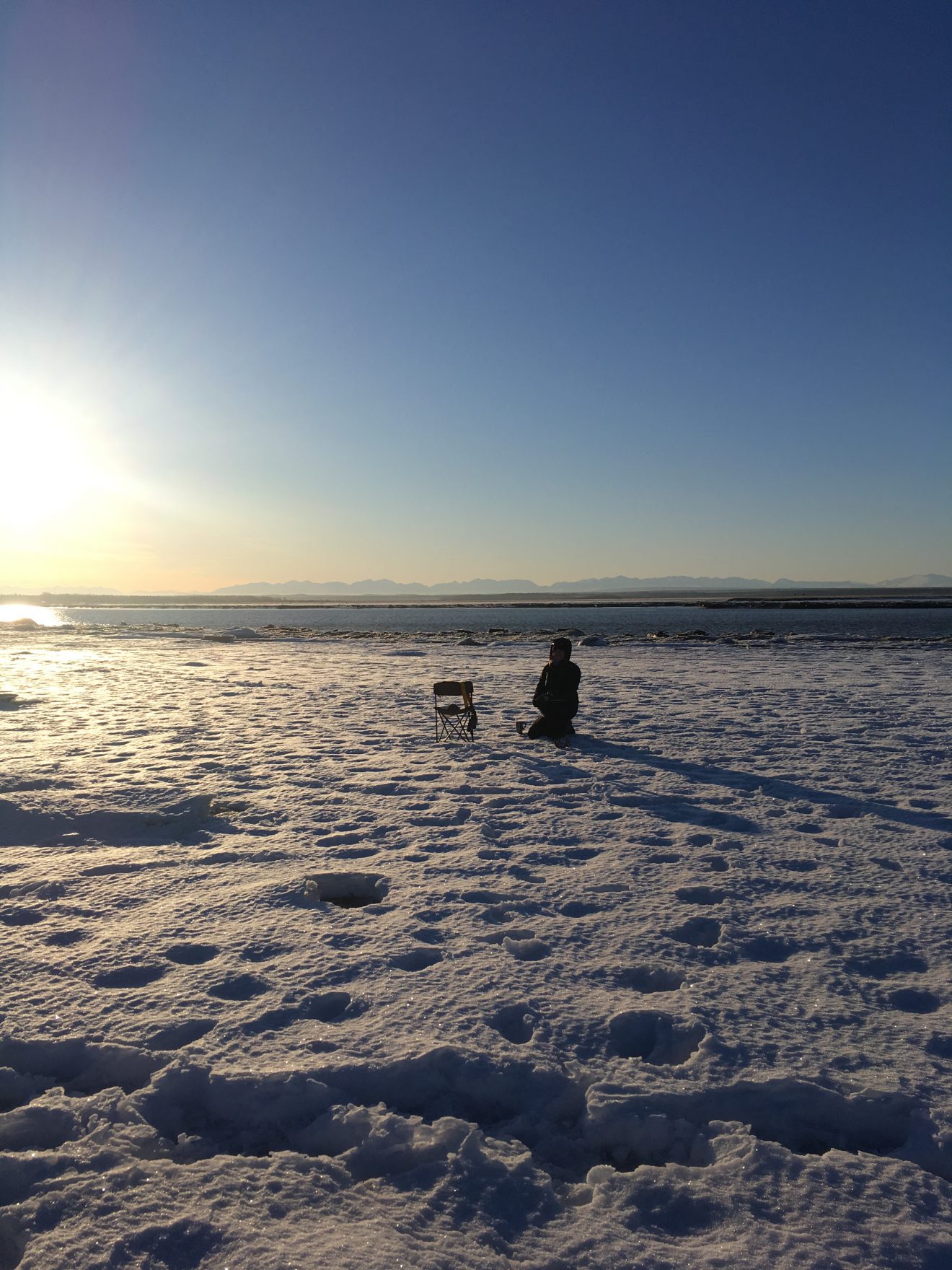 New research on belugas in Kenai River