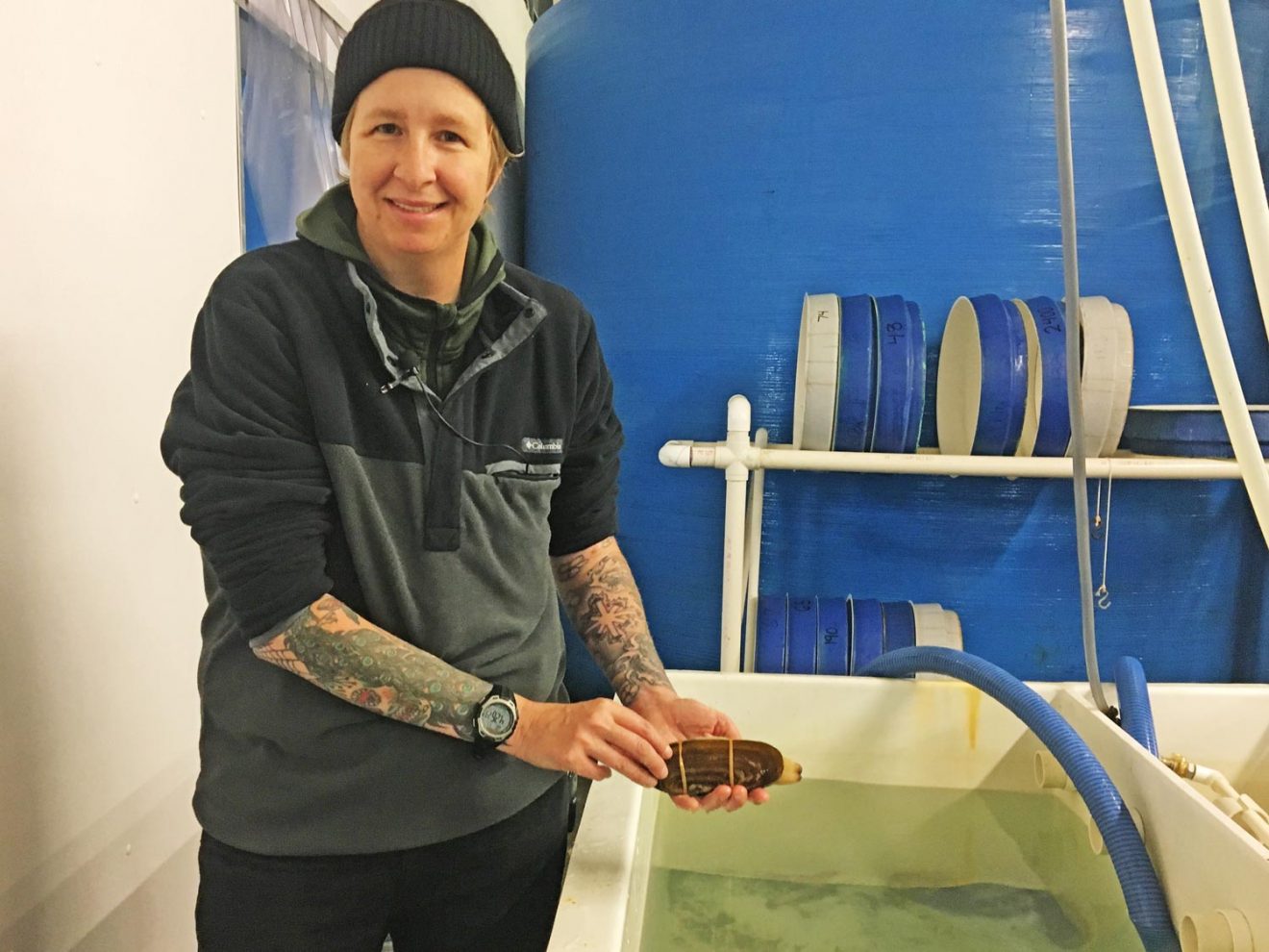 Study explores decline of Cook Inlet razor clams