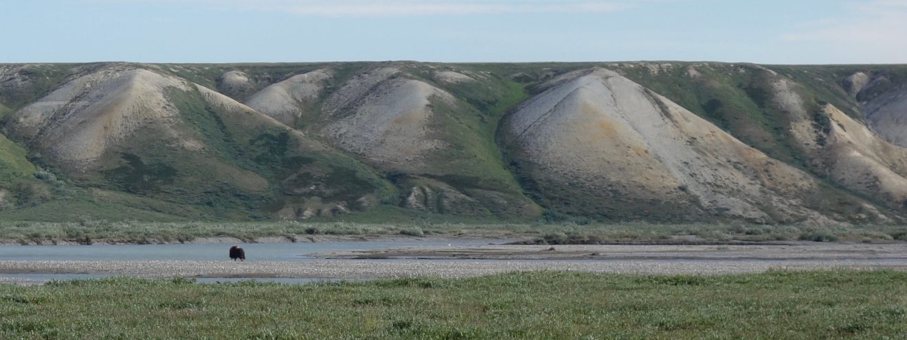 From Greenland to Alaska, via New Jersey