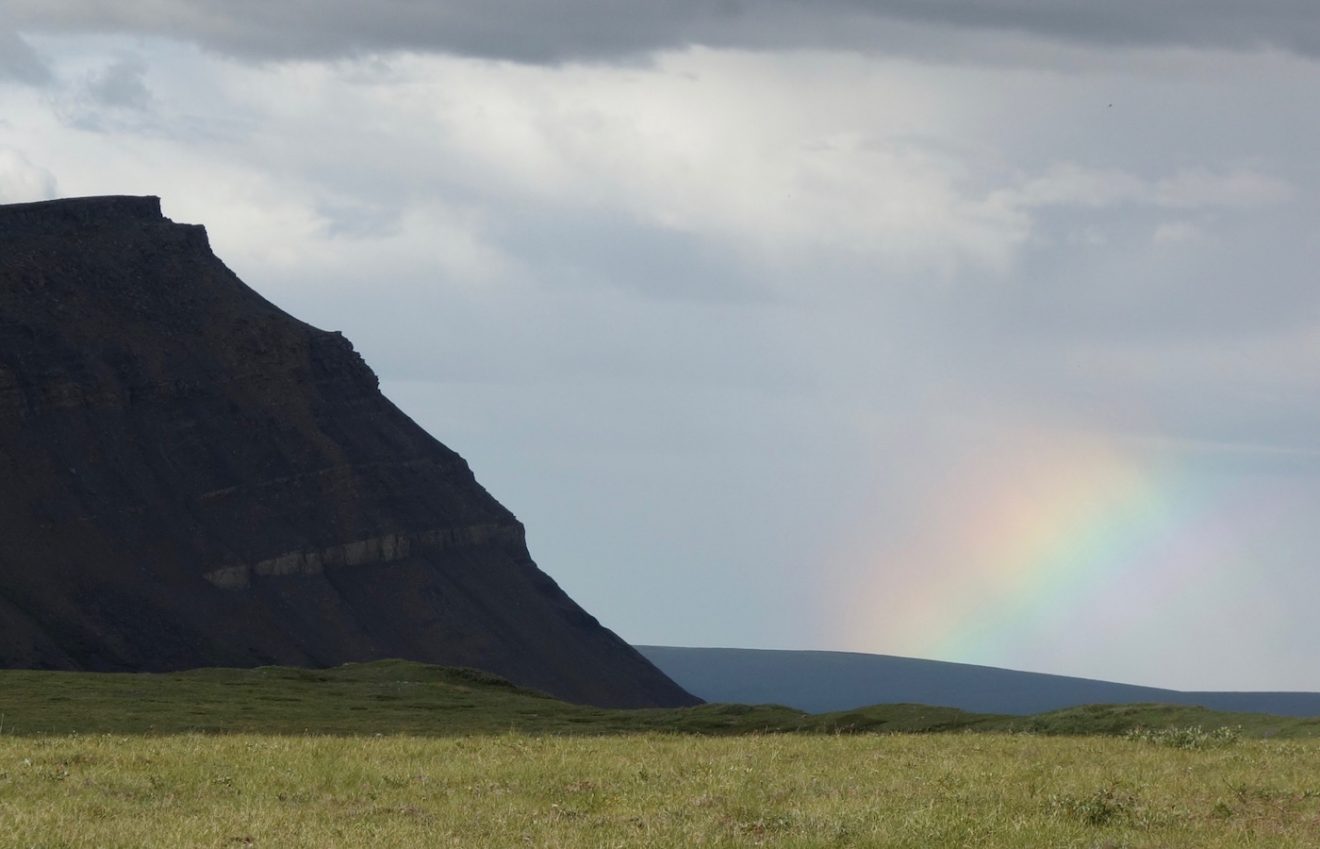 The humidification of the Arctic