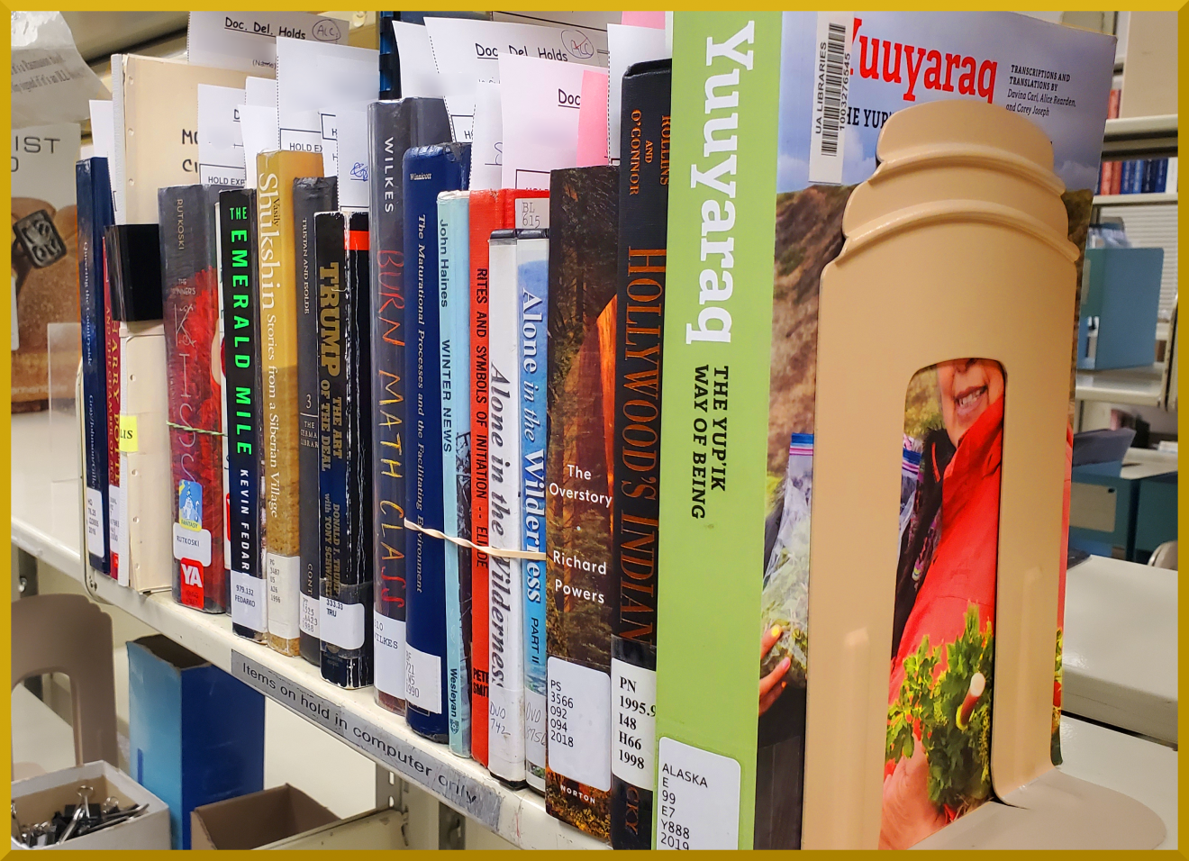 library books on a shelf