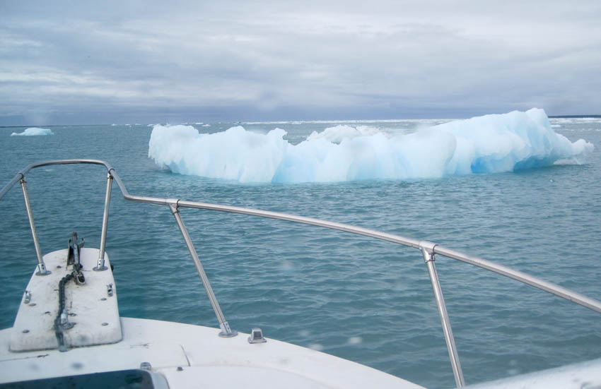 Ice bergs in the water in Icy Bay, Southeast Alaska.