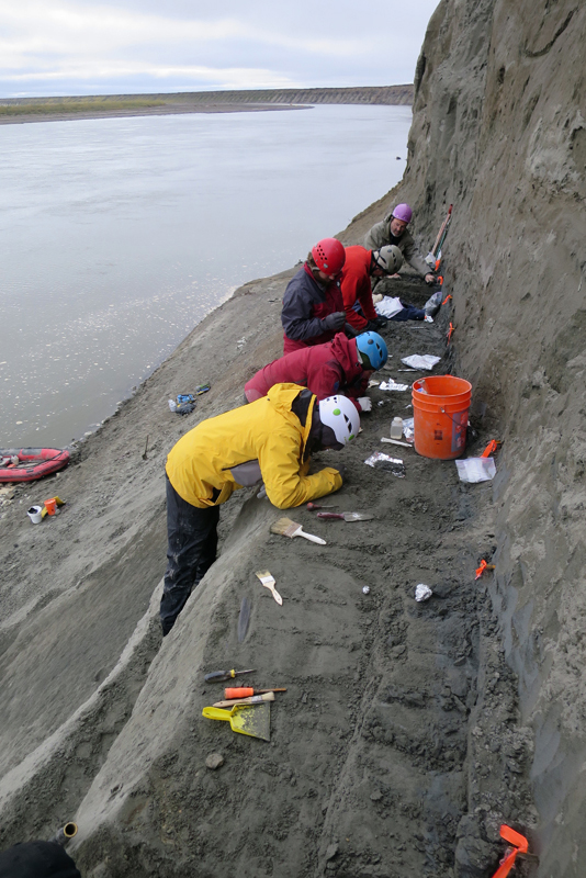 Patrick Druckenmiller photoExcavation at a dinosaur bone bed along the Colville River.