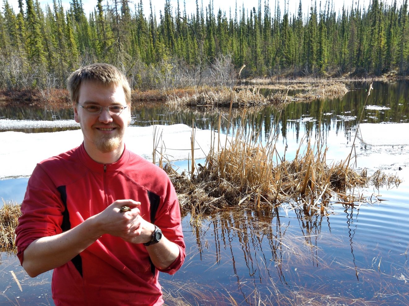 Living dead scattered across Alaska landscape