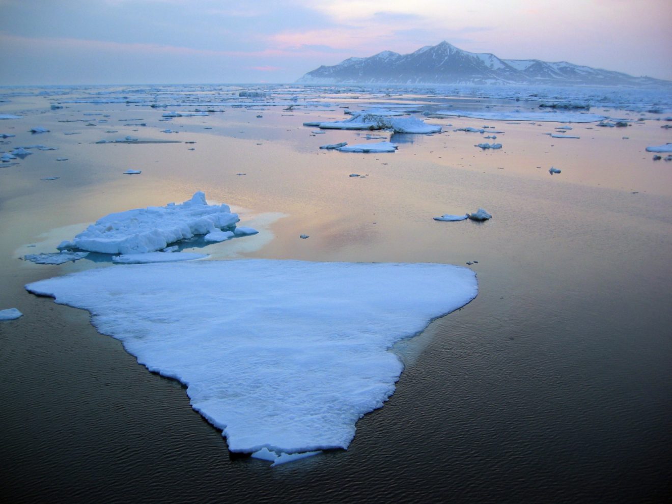 Photo by Gay Sheffield Sea ice floats in the Bering Strait off Cape Prince of Wales.