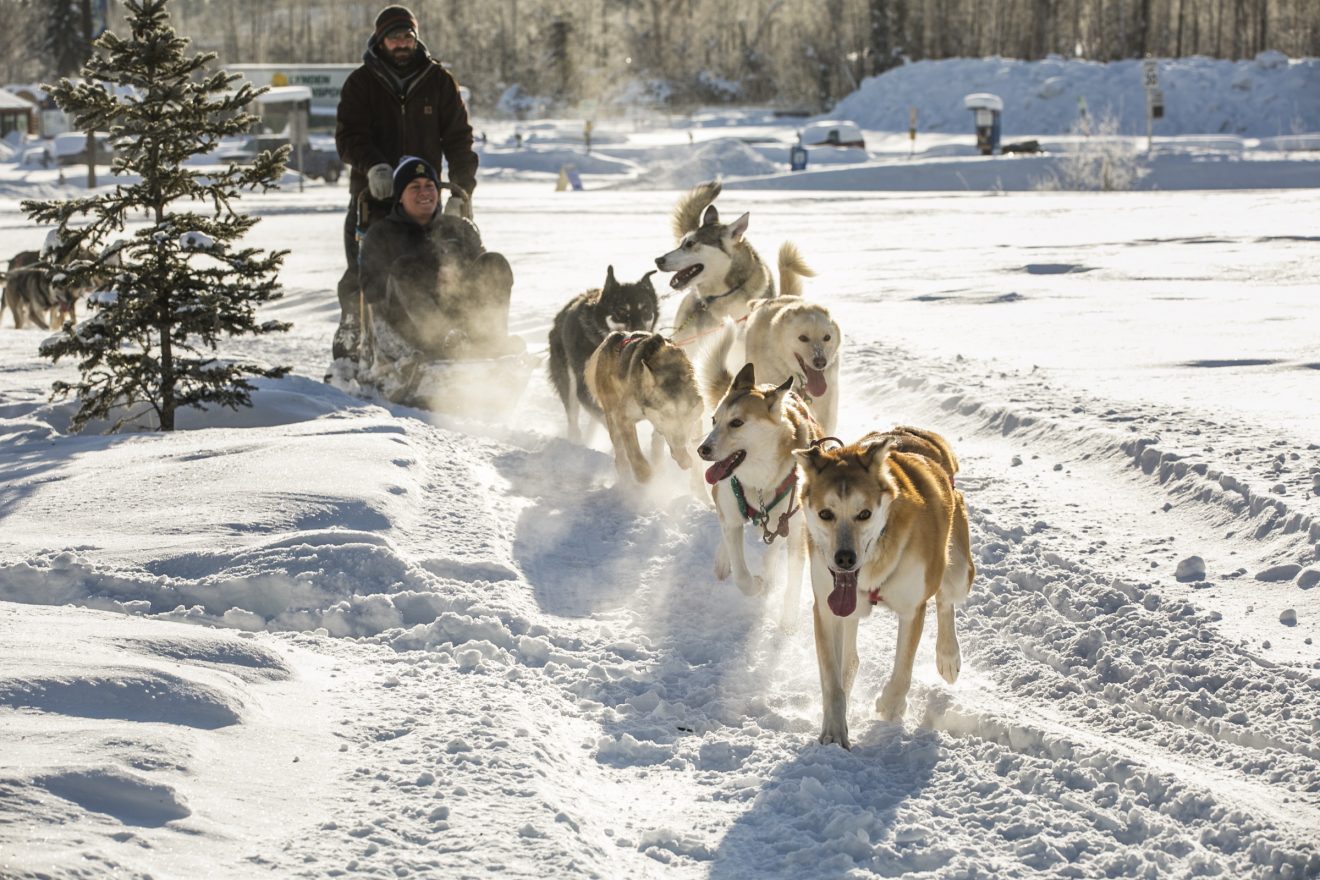 Two men mushing with dog team.