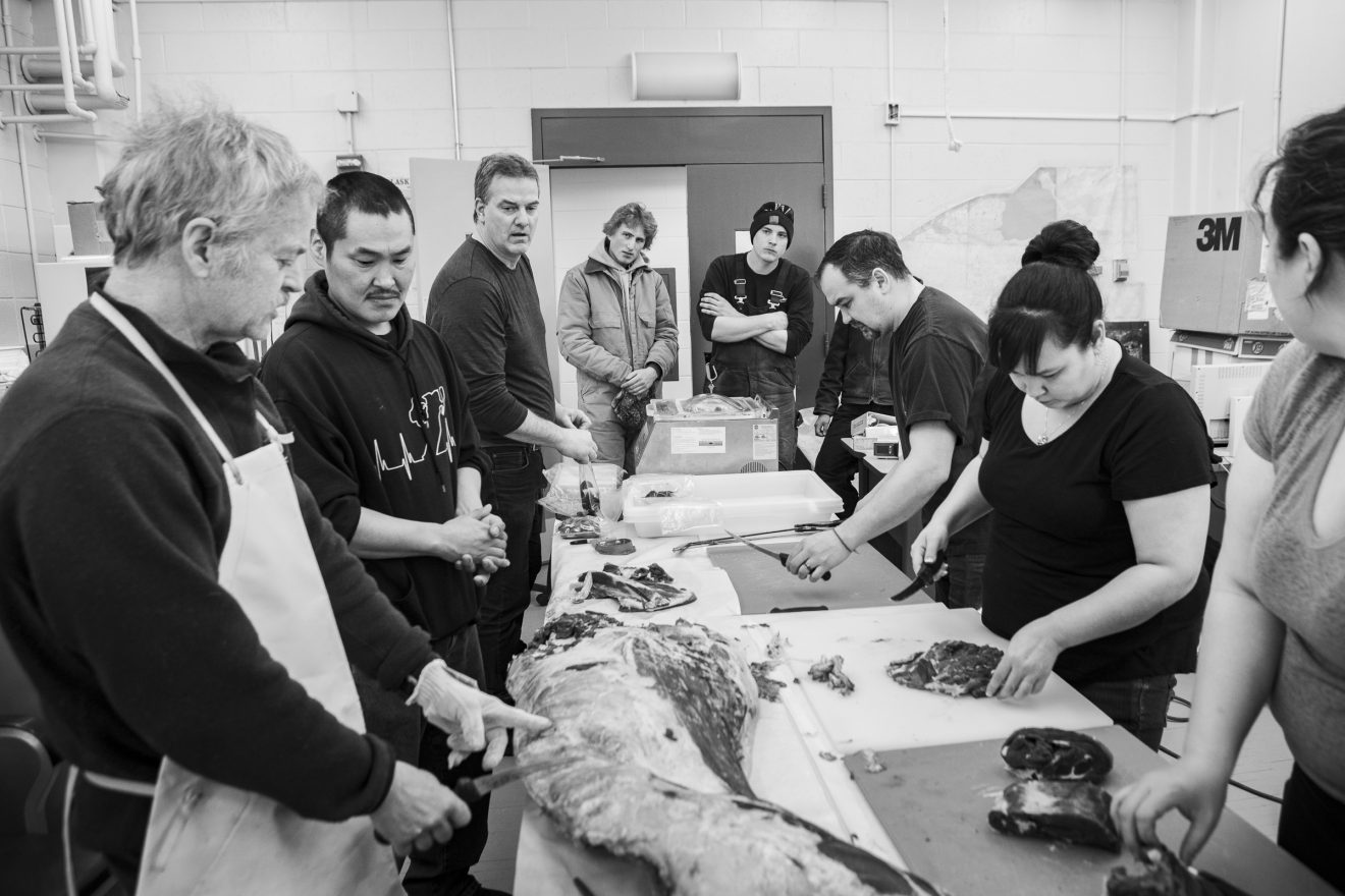 Reindeer Research program manager and professor Greg Finstad, left, explains cuts of steaks during a meat production class. The Northwest Campus students were in the Arctic Health Research Building on the Fairbanks campus Feb. 15 as part of the certificate program in high latitude range management.