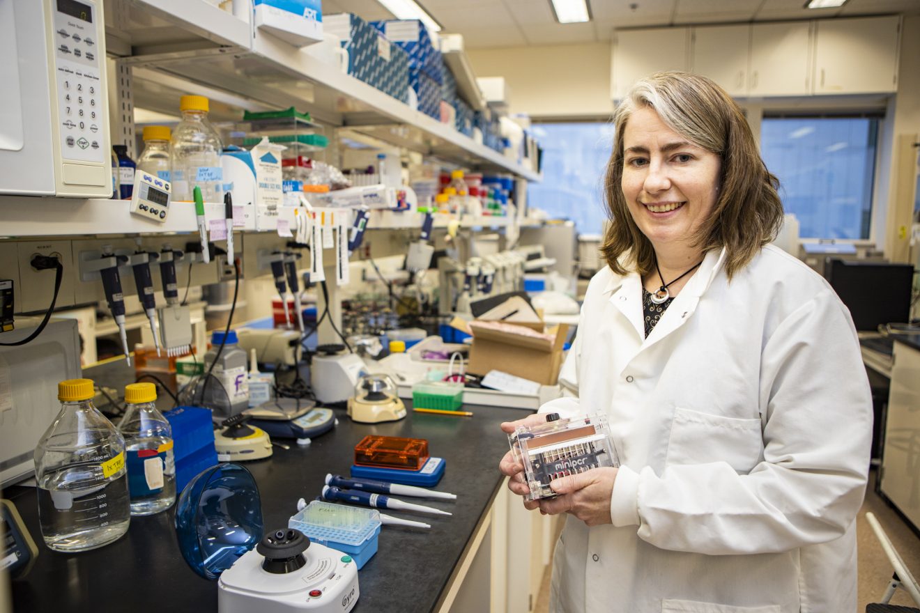 Diana Wolf, who is teaching an online version of Principles of Genetics course in spring 2020, holds a home DNA testing kit that will be used in the class. UAF photo by JR Ancheta