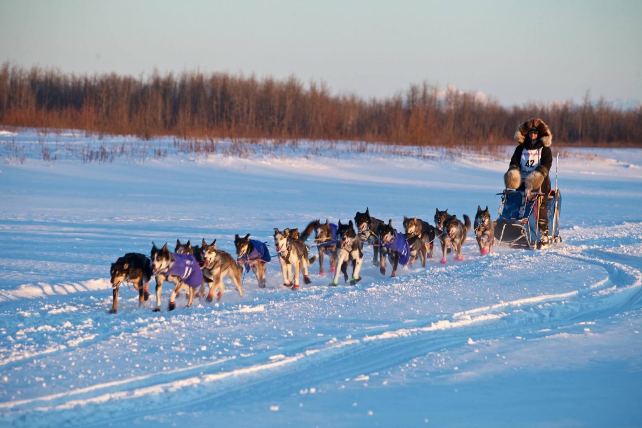 Climate specialist to provide Iditarod weather information