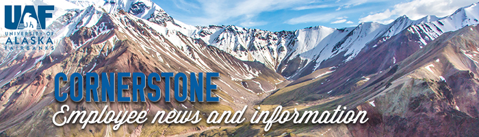 Alaska mountain range