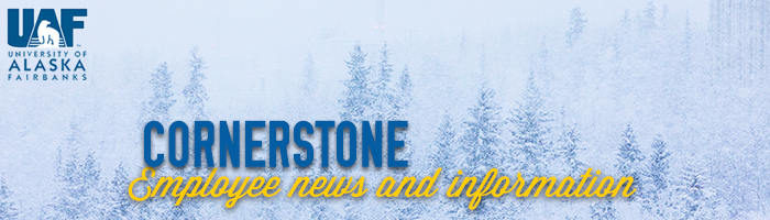 Winter trees on a mountain on a snowy day.