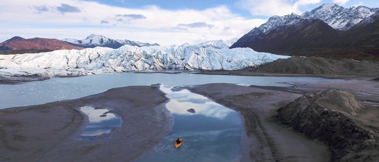 One Health offers video screening and poster session