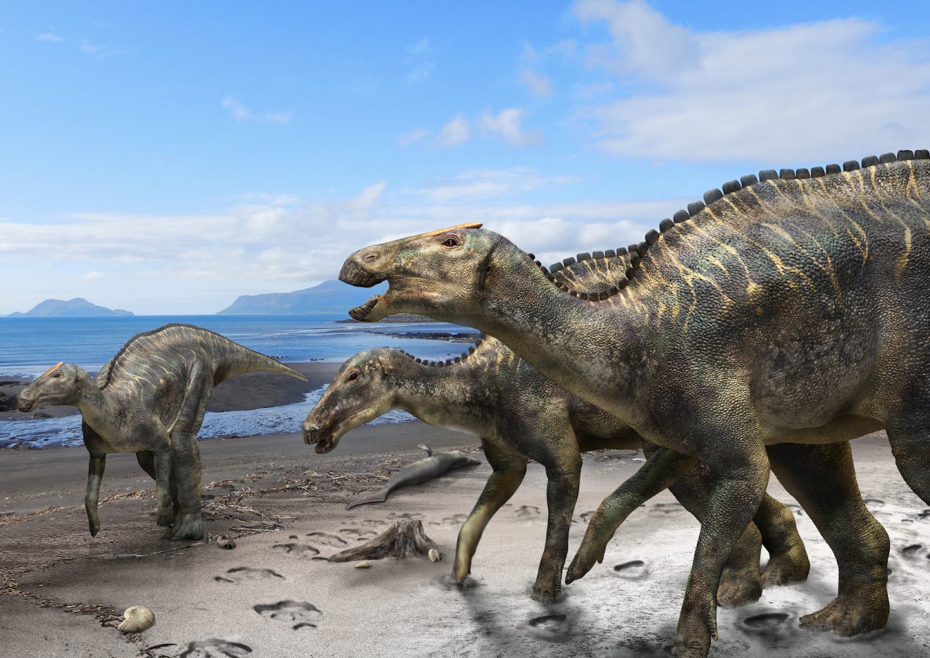 Dinosaurs striding across the land bridge