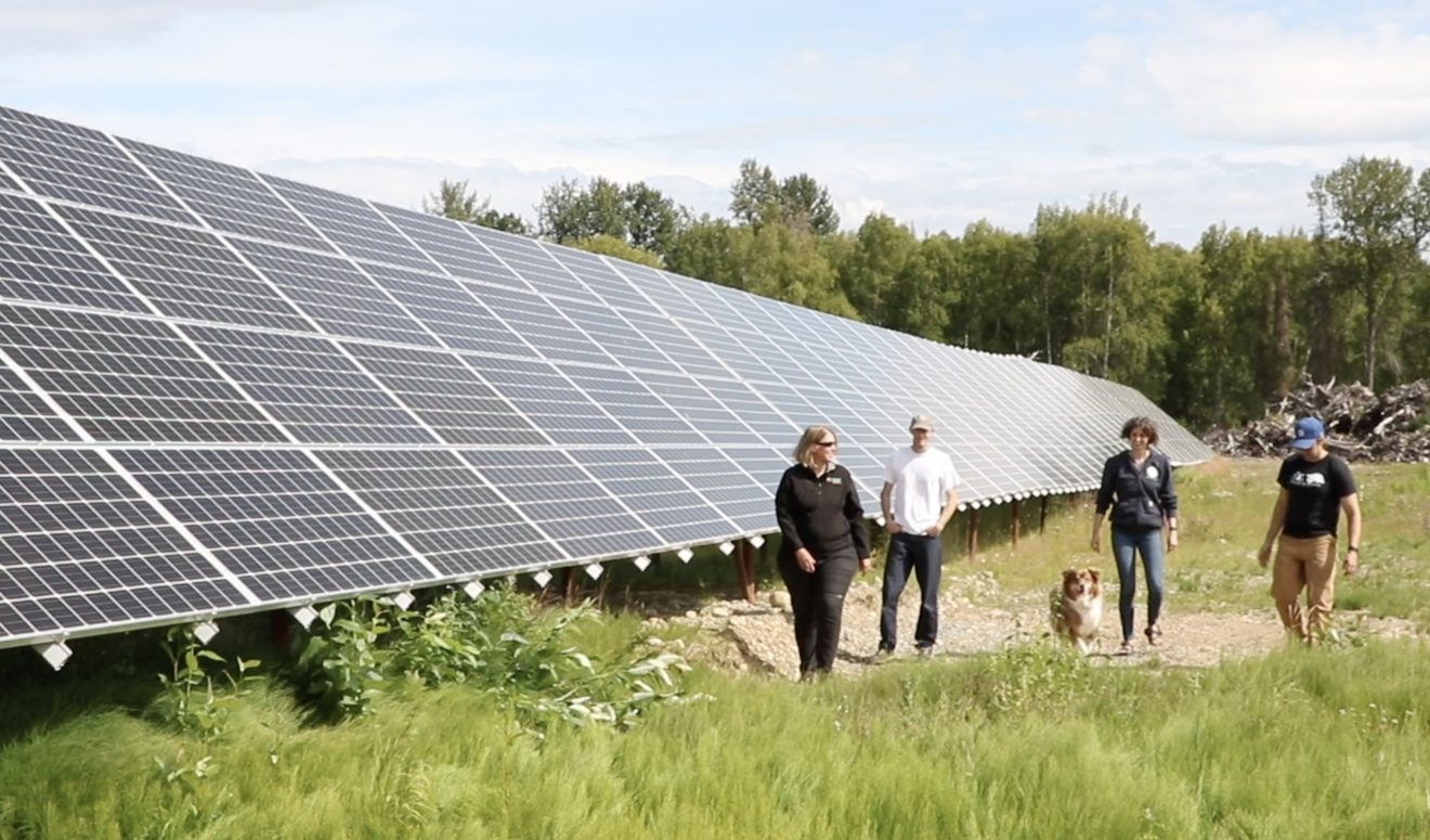 Four people and a dog walk in a grassy field along a large row of solar panels. It is summer.