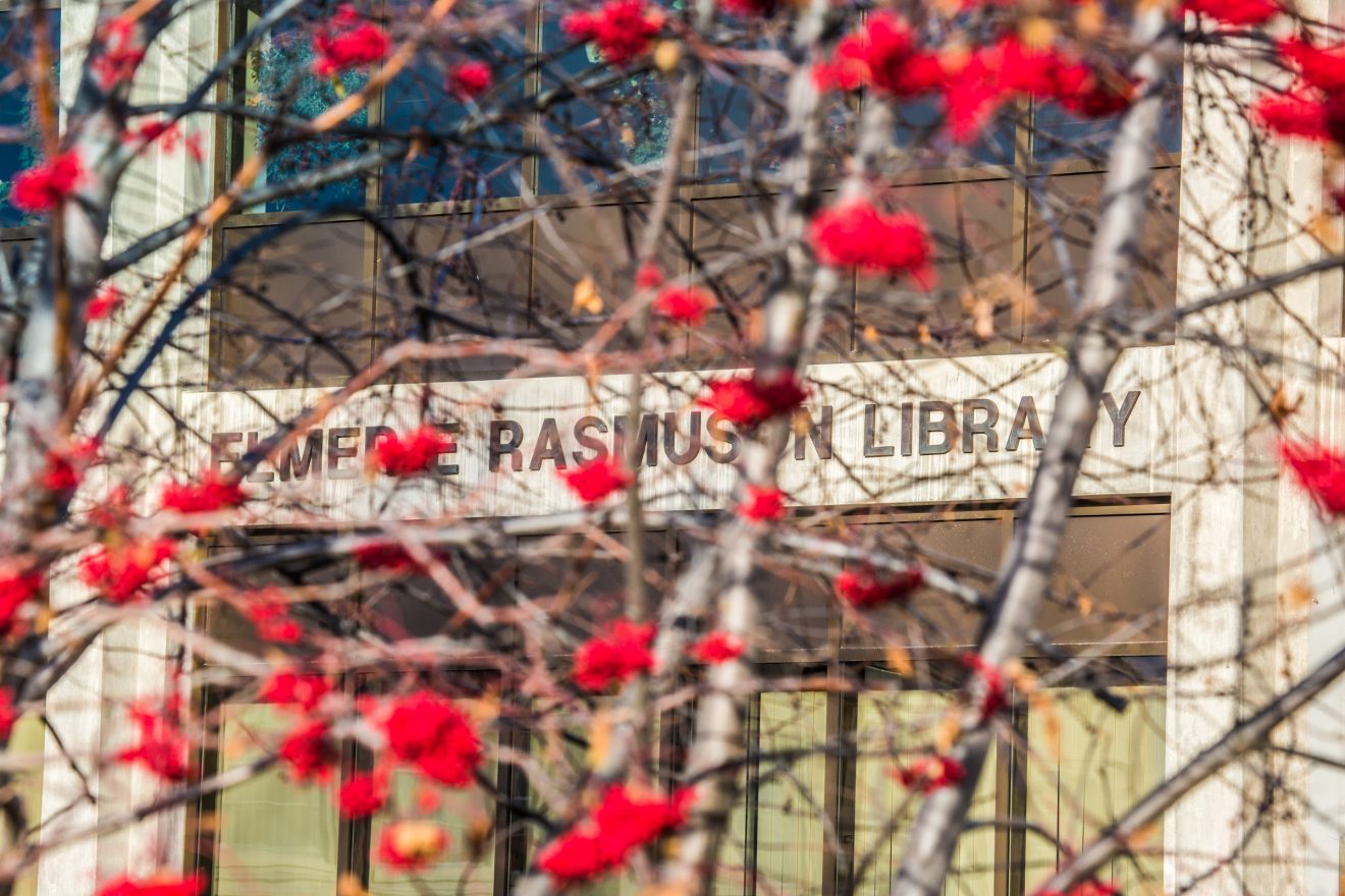 Red berries on bare tree branches in front of the Rasmuson Library