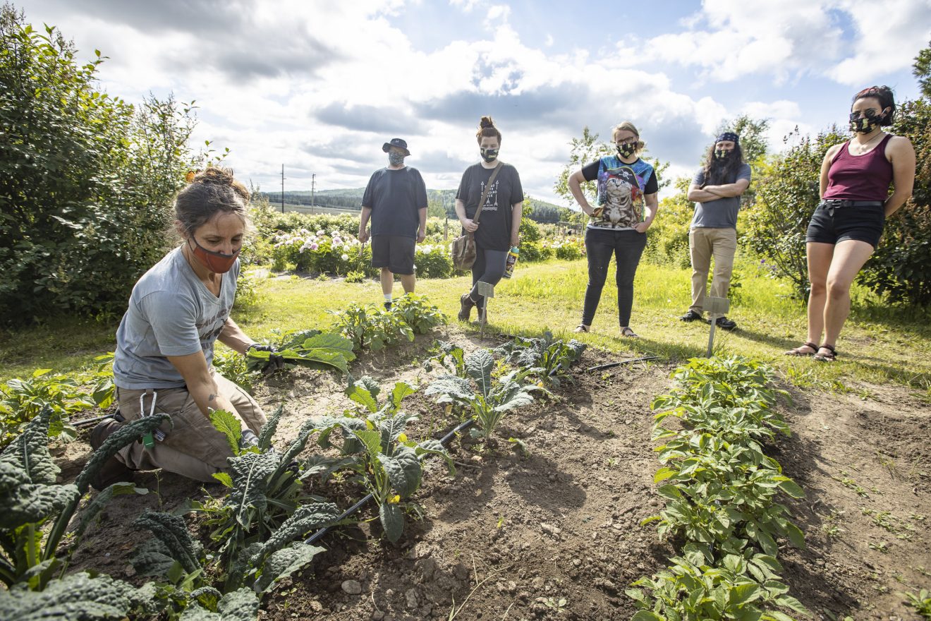 Katie DiCristina shows how to harvest kale.