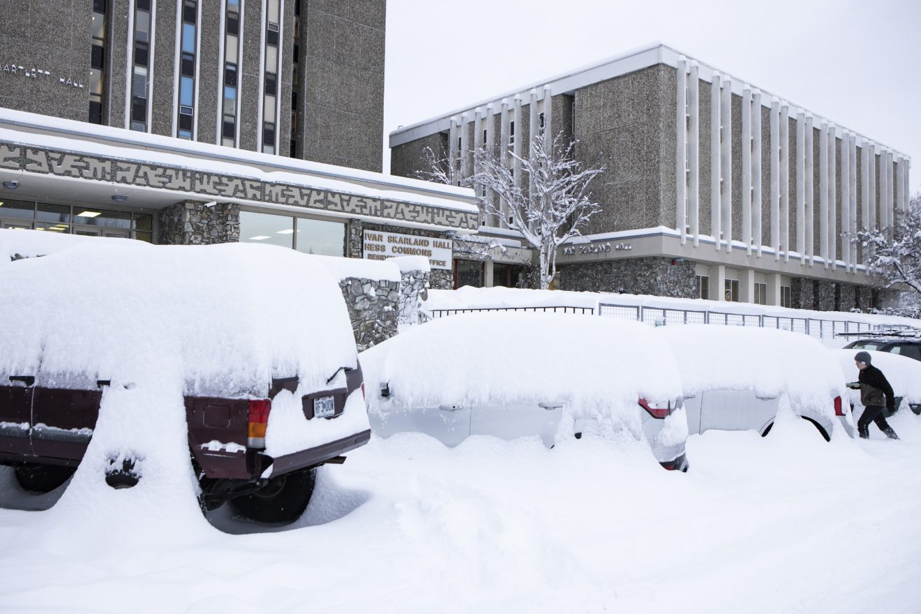 Row of cars covered in snow.