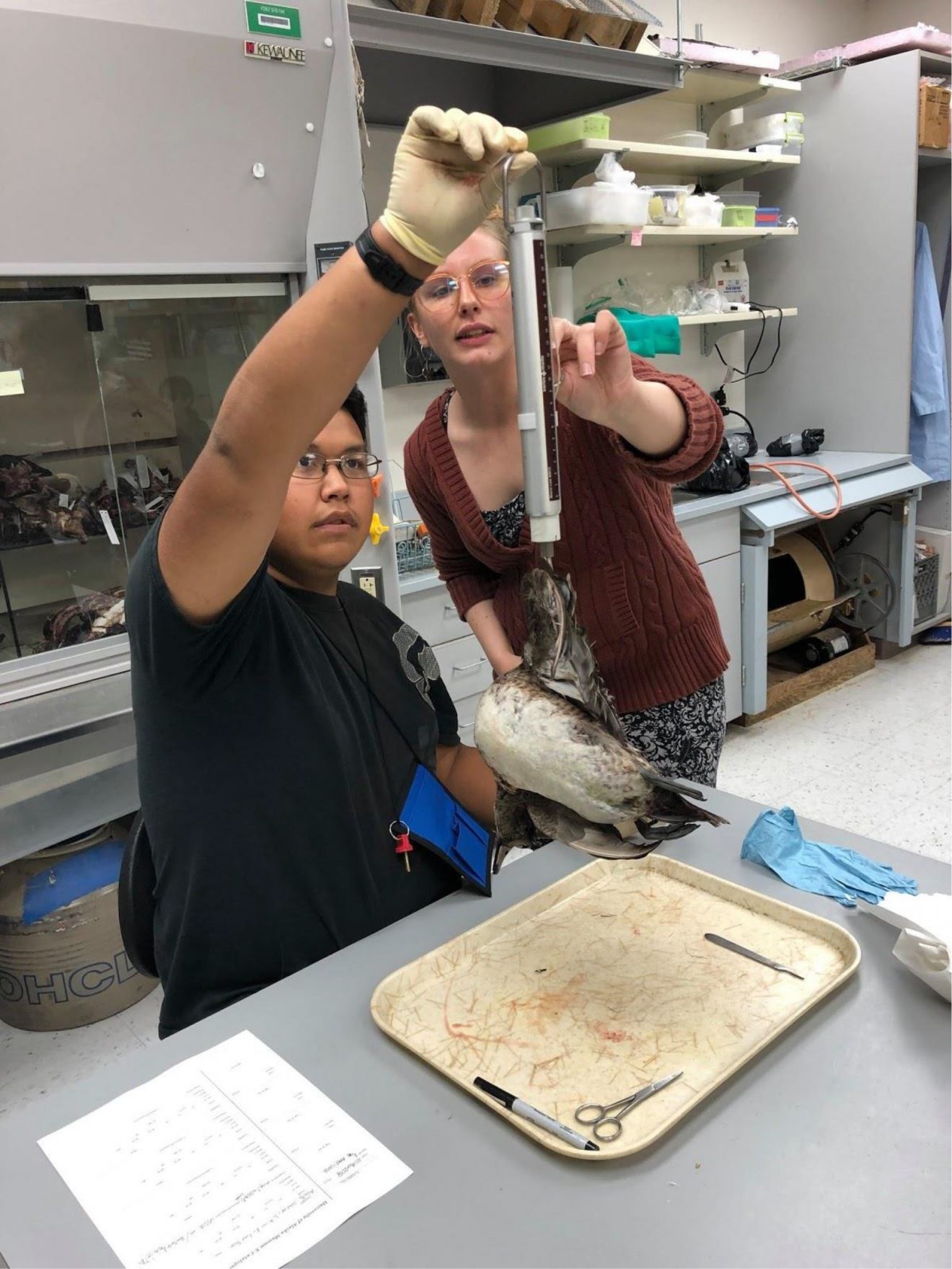 A student sits at a table. He is holding a bird on a small, handheld scale. A woman stands behind him, showing him something on the scale.