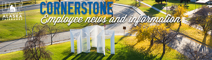 Elysian sculpture on a fall day on the UAF campus