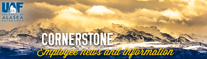 Golden sky surrounding the Alaskan mountain range