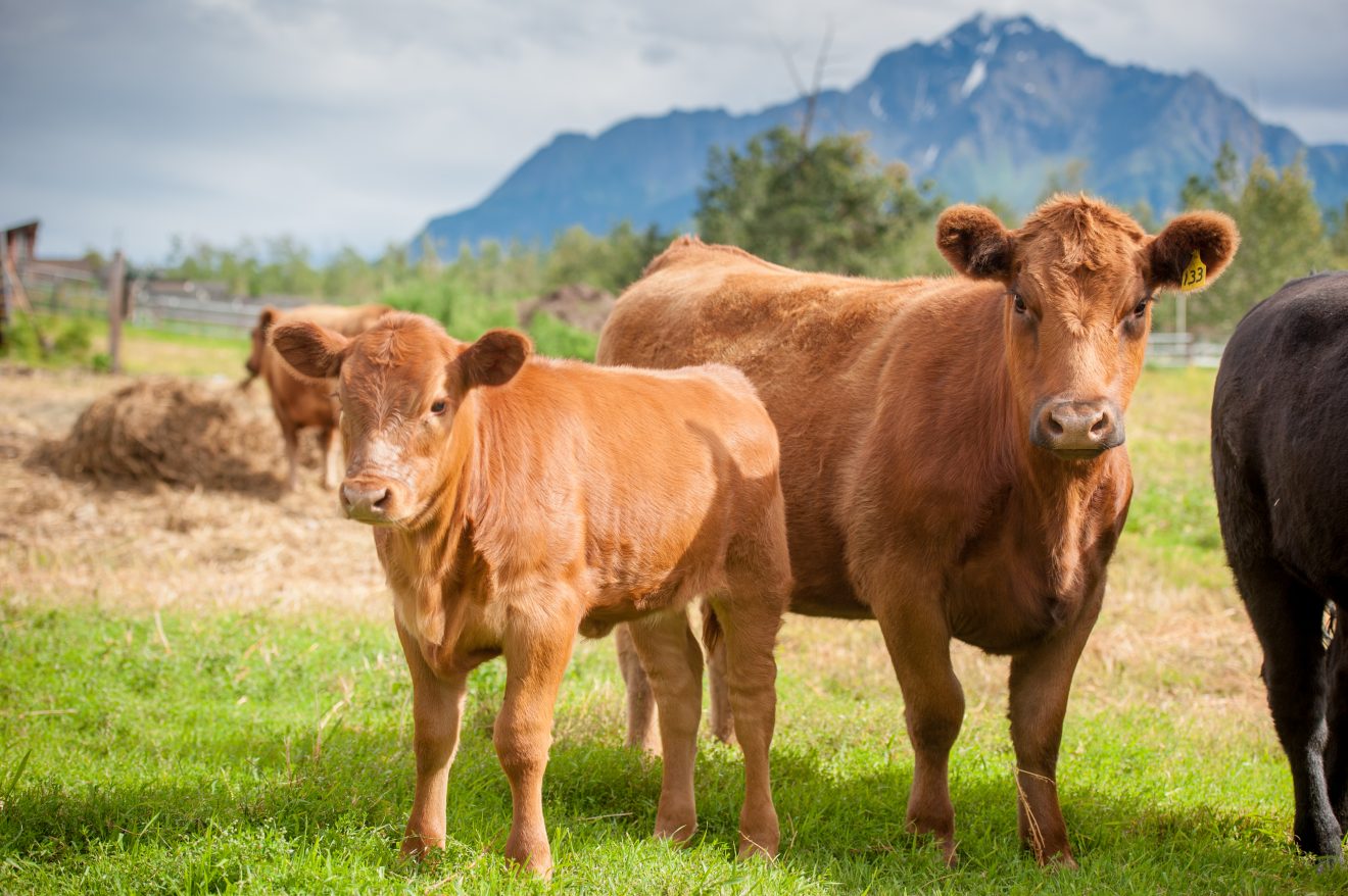 Agriculture conference registration opens