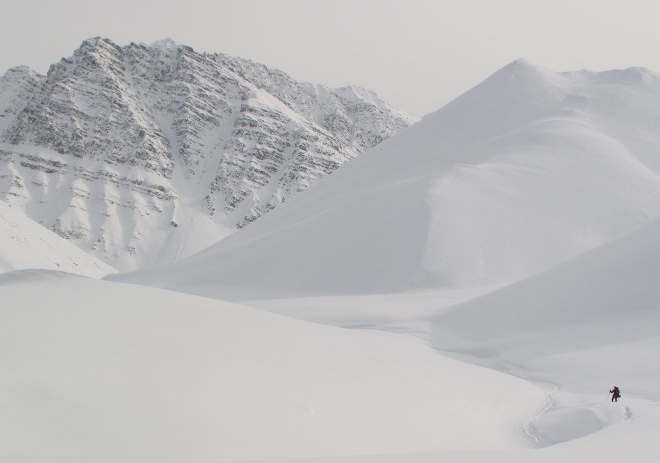 Snow is the state of Alaska